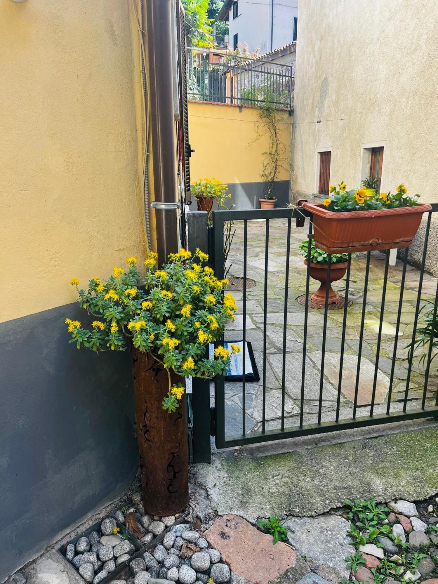 Casa Emma Villa Porto Ceresio Kültér fotó